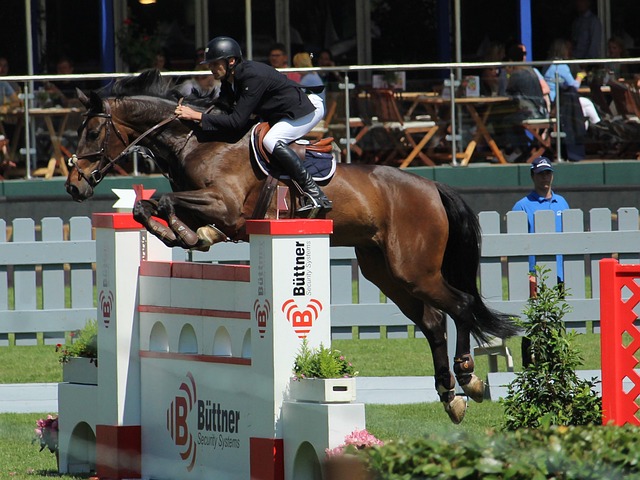 上赛季战绩回顾：广东在上赛季常规赛仅仅取得31胜15负的战绩，最终排名第7，创造球队近些年的常规赛最差排名纪录。