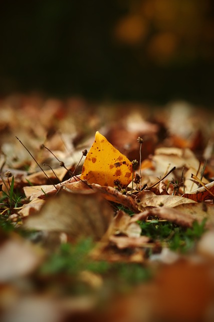 TA：齐尔克泽正处于职业生涯十字路口，未来三月对他至关重要