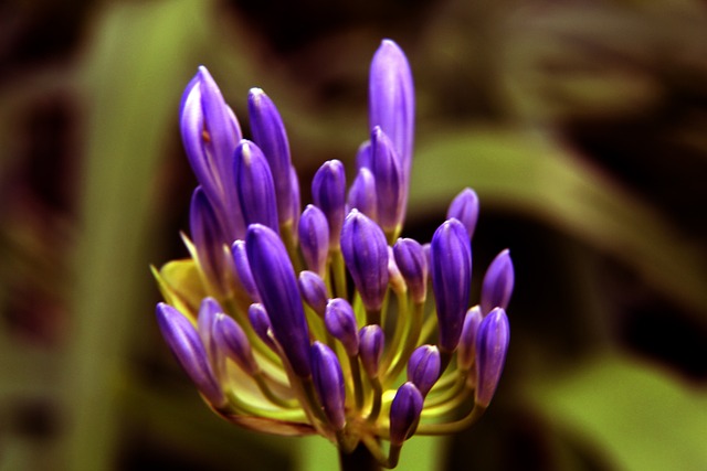 德雷森：阿森纳赢球当之无愧，这场失利只是前进道路上的一步