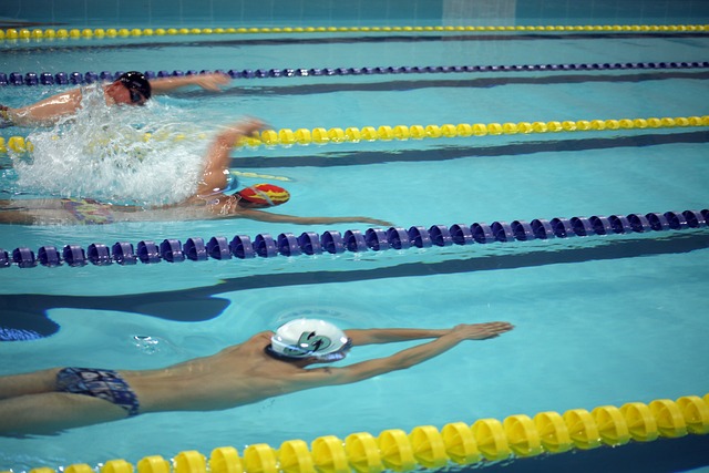 效率恐怖！亚历山大场均34分钟得到33分，仅1.7次失误